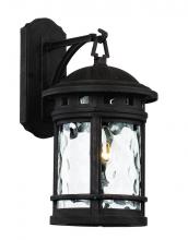 Trans Globe 40371 RT - 1LT WALL LANTERN-MD-WATER-RT